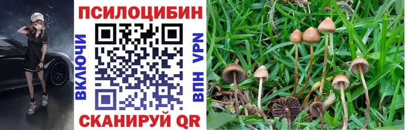 блэк спрут зеркало где купить Печора Псилоцибиновые грибы ЛСД