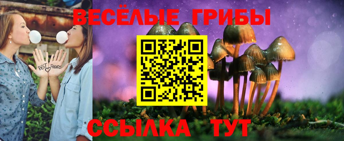 Псилоцибиновые грибы Psilocybe  Галлюциногенные грибы ЛСД  Вход с VPN  цена   Печора 